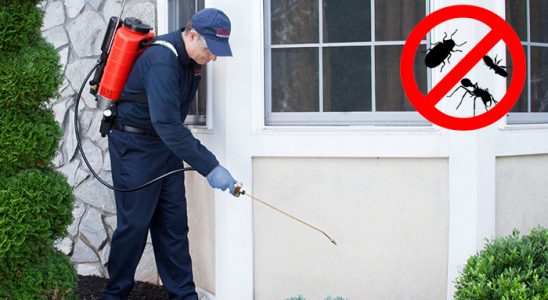 Savaştepe Fare İlaçlama böcek ilaçlama ve haşere kontrolü — ilaclama-tr.com